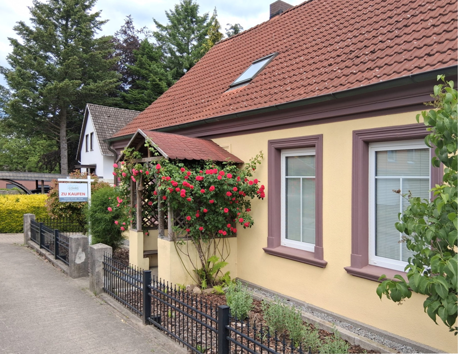 Bild 15