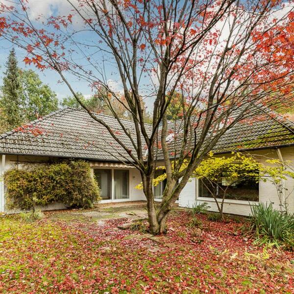 Bungalow